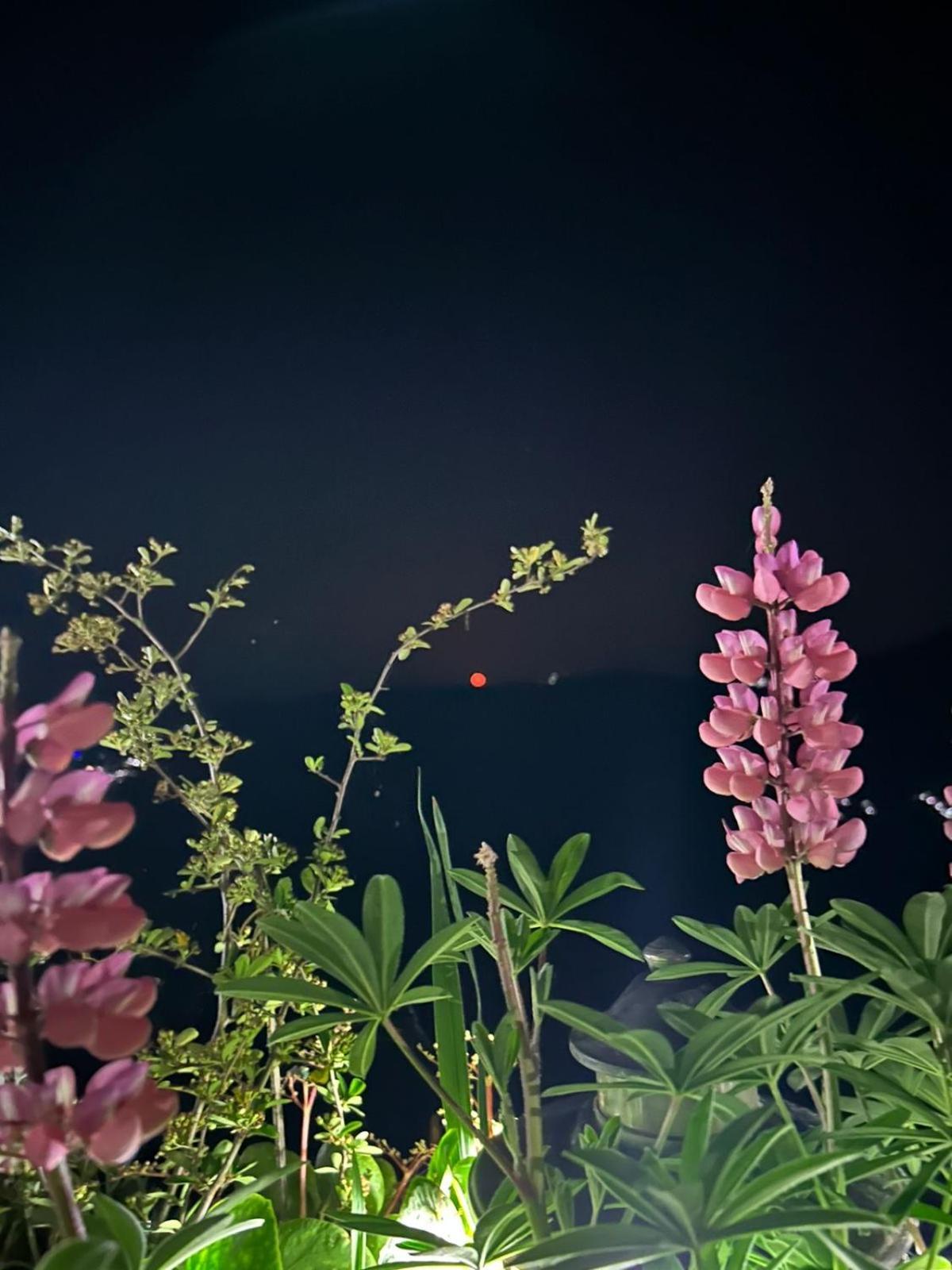 Murmincho Homestay Darjeeling  Exterior foto